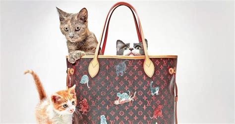 louis vuitton chat